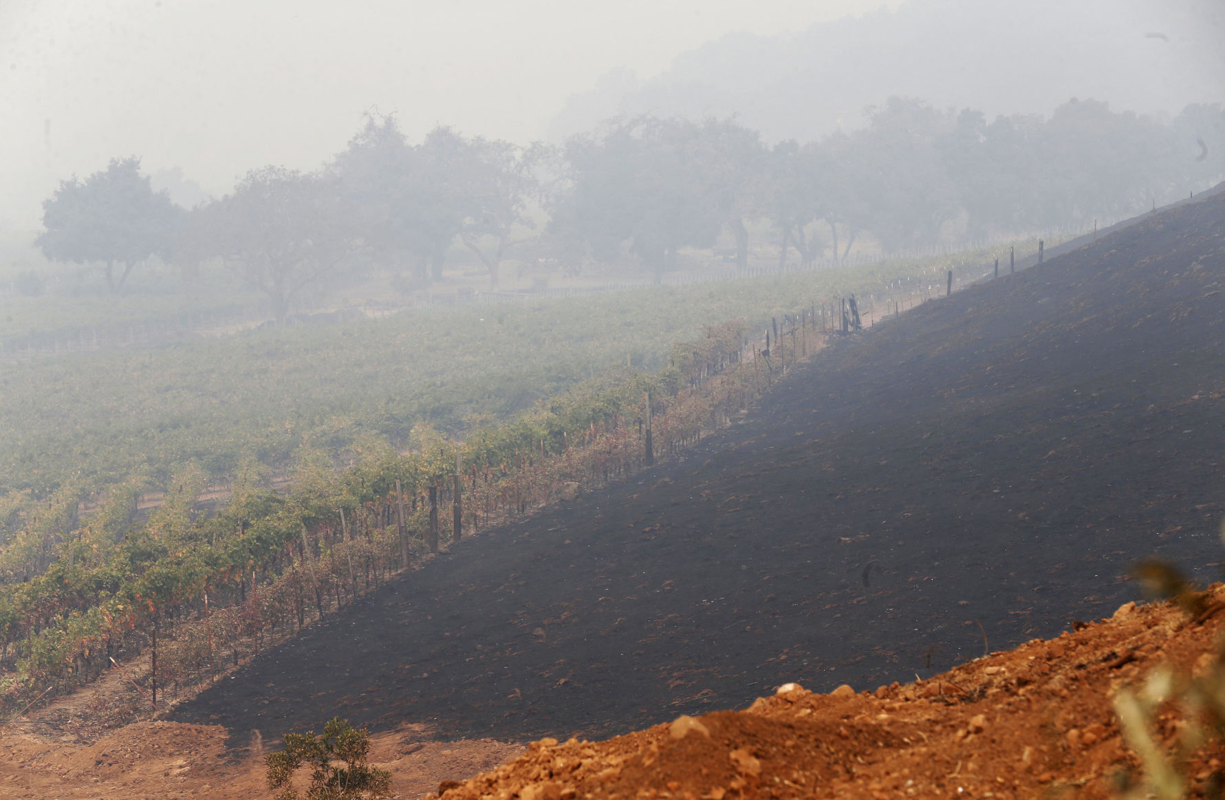 California Wildfires
